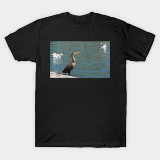 Double crested cormorant. T-Shirt